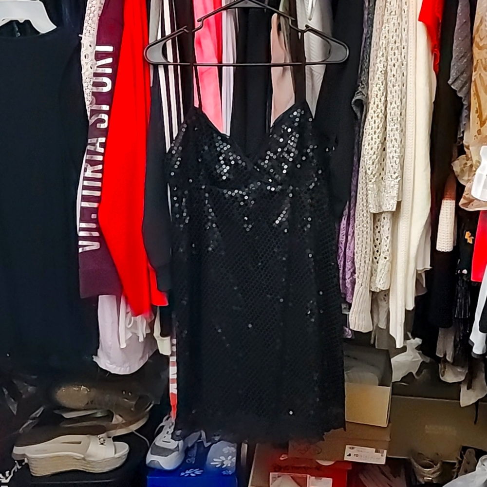 NWT EXPRESS SEQUIN LACE  DRESS 12